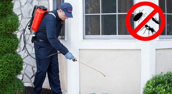 Mudurnu Böcek İlaçlama böcek ilaçlama ve haşere kontrolü — ilaclama-tr.com